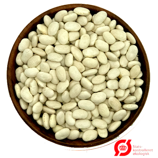 Økologiske Hvide Bønner (Great Northern Beans)